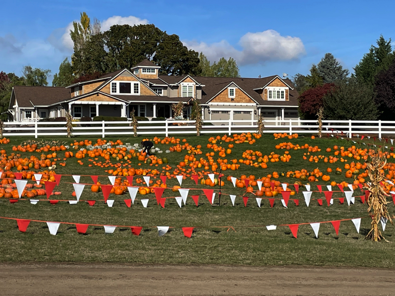 Tim Takes a Fall Trip to Hillsboro